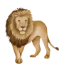icone-leao
